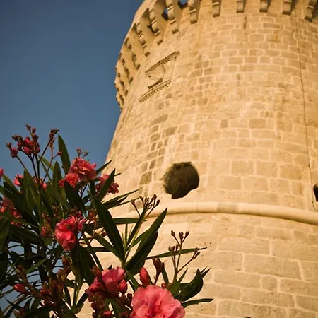 מלון דירות Lesic Dimitri Palace 5*